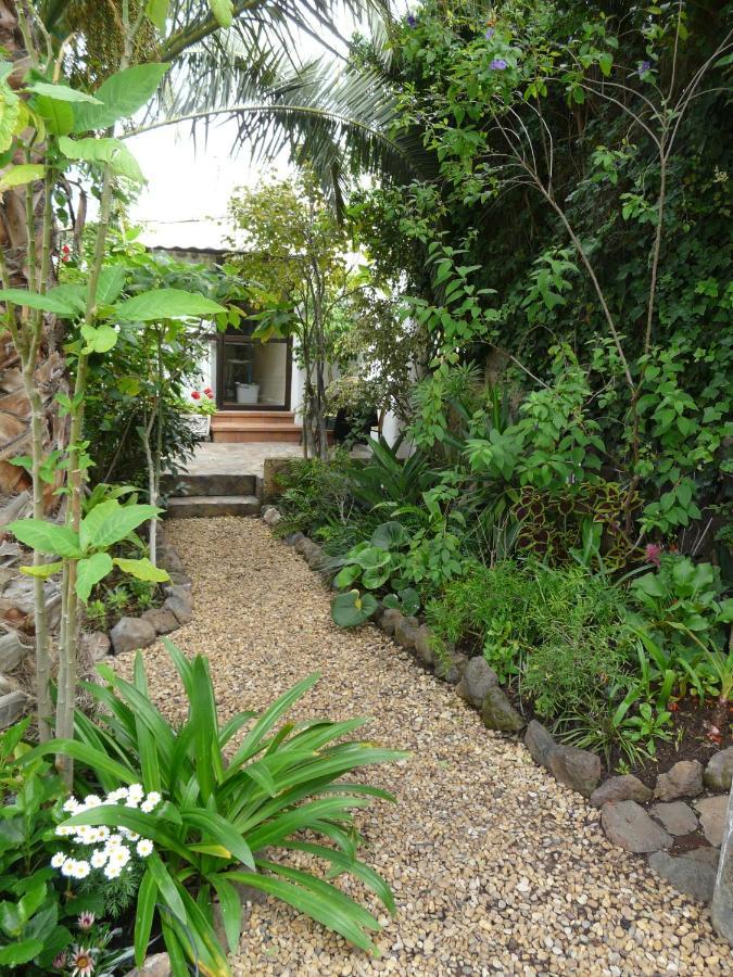 Casa Flora Loft Studio Sauzal Exterior photo